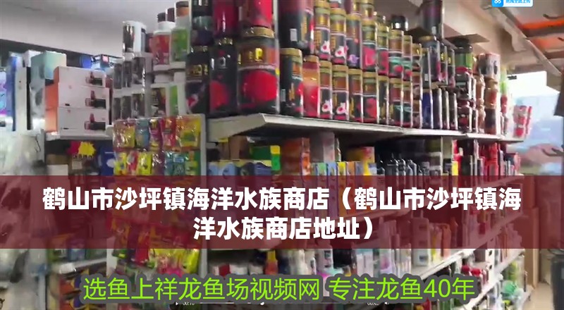 鶴山市沙坪鎮海洋水族商店（鶴山市沙坪鎮海洋水族商店地址）