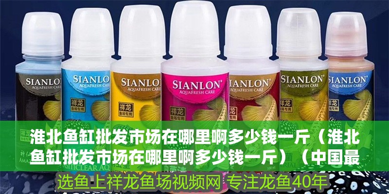 給大魚缸換水的作文:體驗給大魚缸換水的樂趣:體驗給大魚缸換水:給大魚缸換水的作文 淮北魚缸批發市場在哪里啊多少錢一斤(淮北魚缸批發市場在哪里啊多少錢一斤)(中國最大的魚缸批發市場) 魚缸百科 淮北魚缸批發市場在哪里啊多少錢一斤(淮北魚缸批發市場在哪里啊多少錢一斤)(中國最大的魚缸批發市場) 淮北魚缸批發市場在哪里啊多少錢一斤(淮北魚缸批發市場在哪里啊多少錢一斤)(中國最大的魚缸批發市場) 魚缸百科