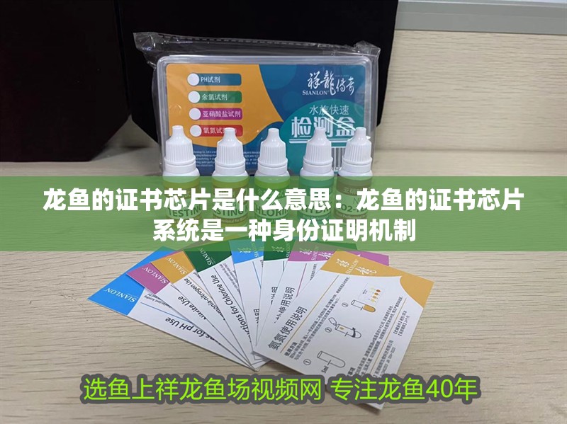 龍魚的證書芯片是什么意思：龍魚的證書芯片系統(tǒng)是一種身份證明機制