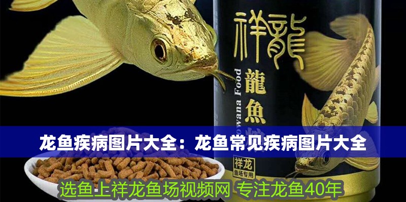 龍魚疾病圖片大全：龍魚常見疾病圖片大全