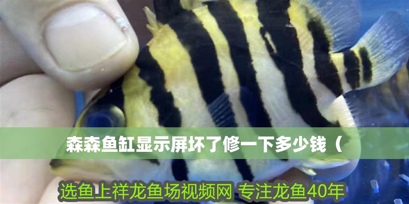 森森魚缸顯示屏壞了修一下多少錢（