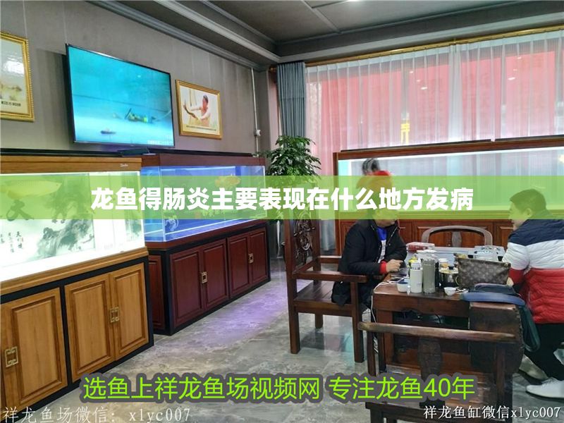 龍魚得腸炎主要表現(xiàn)在什么地方發(fā)病