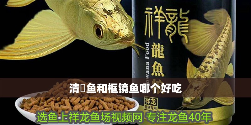 清鮰魚和框鏡魚哪個好吃 清鮰魚和框鏡魚哪個好吃 龍魚論壇