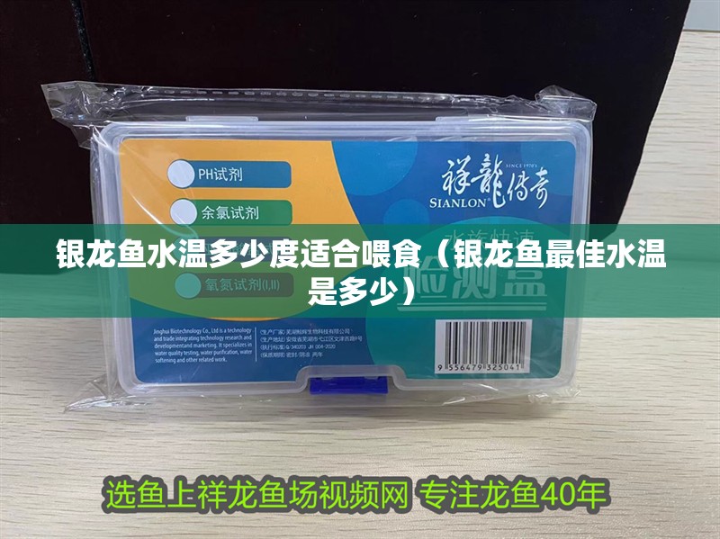 銀龍魚水溫多少度適合喂食（銀龍魚最佳水溫是多少） 銀龍魚水溫多少度適合喂食（銀龍魚最佳水溫是多少） 銀龍魚百科