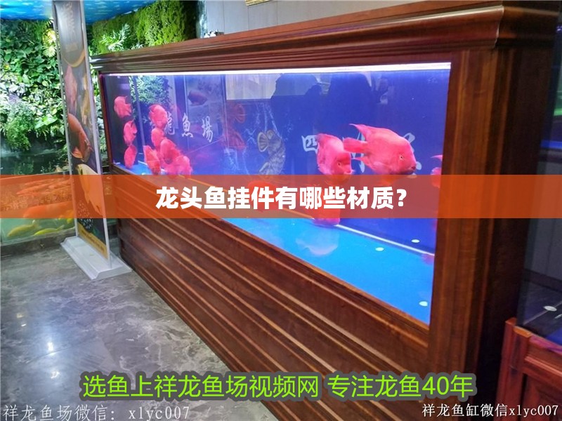 龍頭魚掛件有哪些材質？