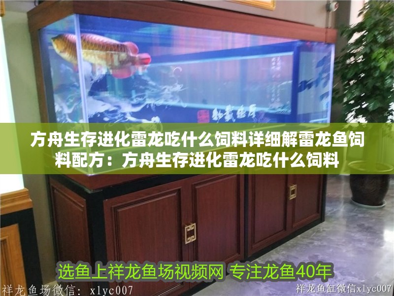 方舟生存進化雷龍吃什么飼料詳細解雷龍魚飼料配方：方舟生存進化雷龍吃什么飼料 方舟生存進化雷龍吃什么飼料詳細解雷龍魚飼料配方：方舟生存進化雷龍吃什么飼料 龍魚百科