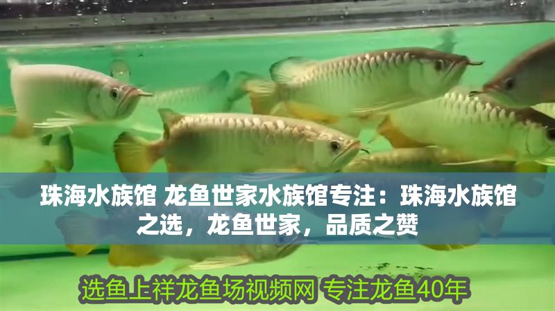 珠海水族館 龍魚世家水族館專注：珠海水族館之選，龍魚世家，品質之贊