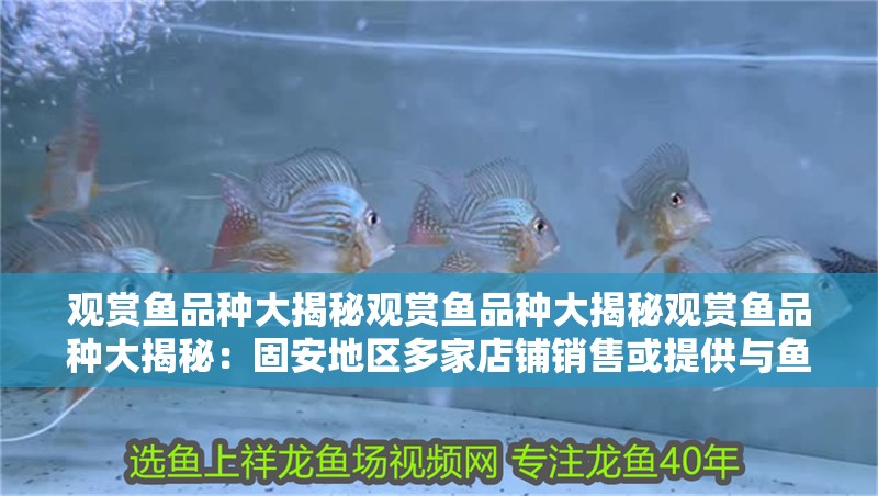 觀賞魚品種大揭秘觀賞魚品種大揭秘觀賞魚品種大揭秘：<strong><mark>固安</mark></strong>地區多家店鋪銷售或提供與魚缸相關產品和服務