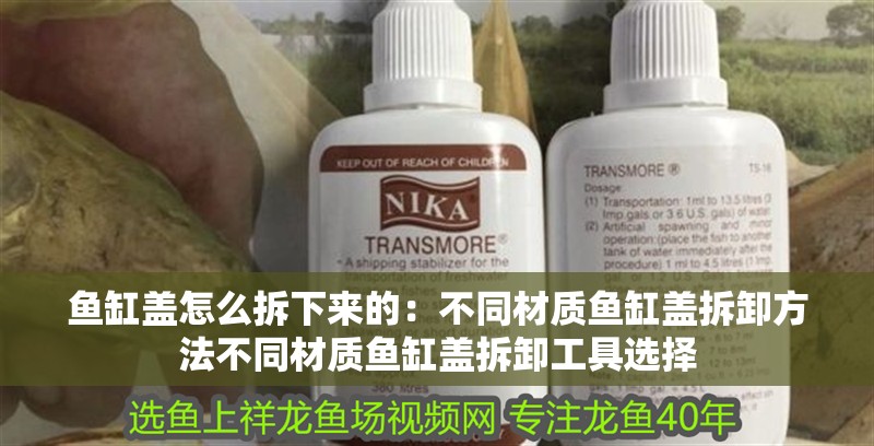 魚(yú)缸蓋怎么拆下來(lái)的：不同材質(zhì)魚(yú)缸蓋拆卸方法不同材質(zhì)魚(yú)缸蓋拆卸工具選擇 魚(yú)缸蓋怎么拆下來(lái)的：不同材質(zhì)魚(yú)缸蓋拆卸方法不同材質(zhì)魚(yú)缸蓋拆卸工具選擇 魚(yú)缸百科