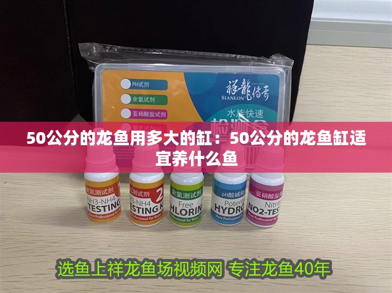50公分的龍魚用多大的缸：50公分的龍魚缸適宜養什么魚