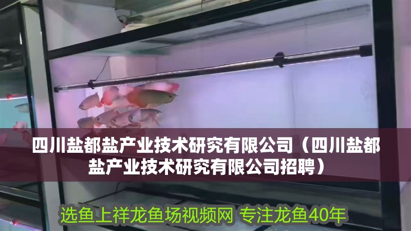 <strong><mark>四川</mark></strong>鹽都鹽產業技術研究有限公司（<strong><mark>四川</mark></strong>鹽都鹽產業技術研究有限公司招聘）