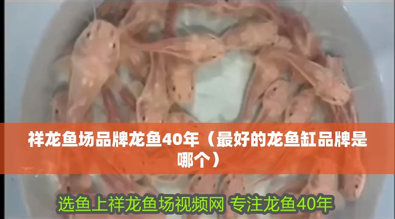 祥龍魚場品牌龍魚40年（最好的龍魚缸品牌是哪個）