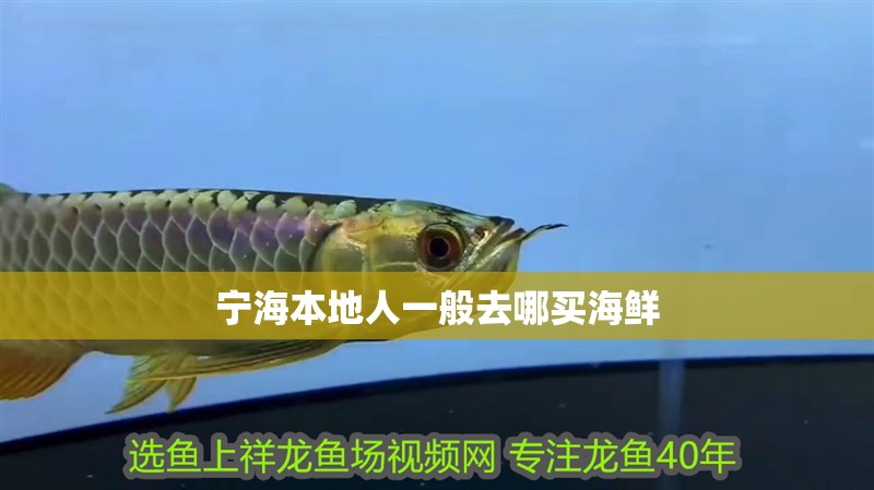 寧海本地人一般去哪買海鮮 寧海本地人一般去哪買海鮮 龍魚論壇