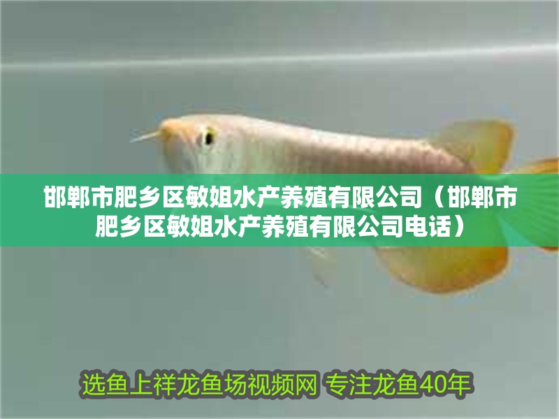 邯鄲市肥鄉區敏姐水產養殖有限公司（邯鄲市肥鄉區敏姐水產養殖有限公司電話）