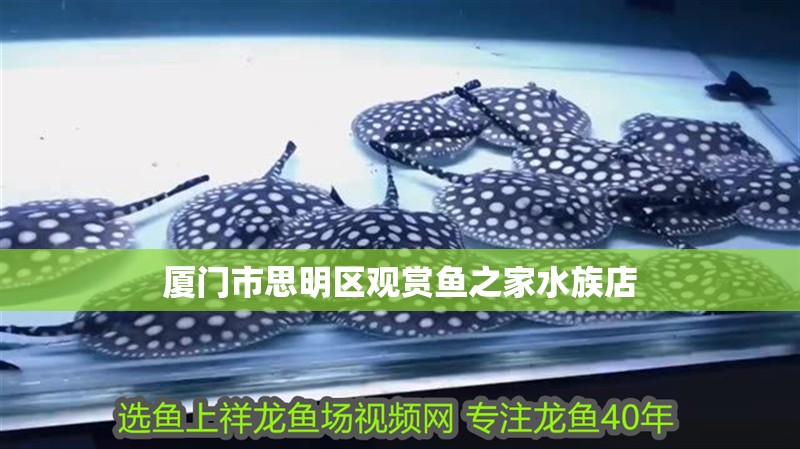 廈門市思明區(qū)觀賞魚之家水族店