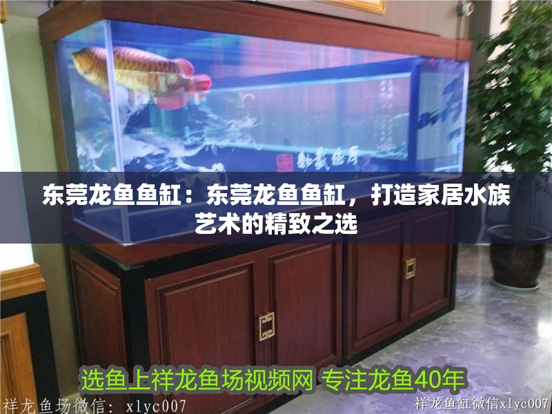 東莞龍魚魚缸：東莞龍魚魚缸，打造家居水族藝術的精致之選