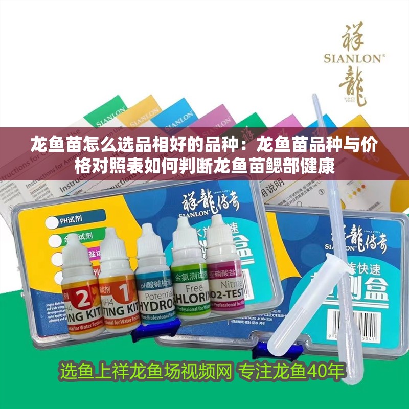 龍魚苗怎么選品相好的品種：龍魚苗品種與價格對照表如何判斷龍魚苗鰓部健康 龍魚苗怎么選品相好的品種：龍魚苗品種與價格對照表如何判斷龍魚苗鰓部健康 龍魚百科