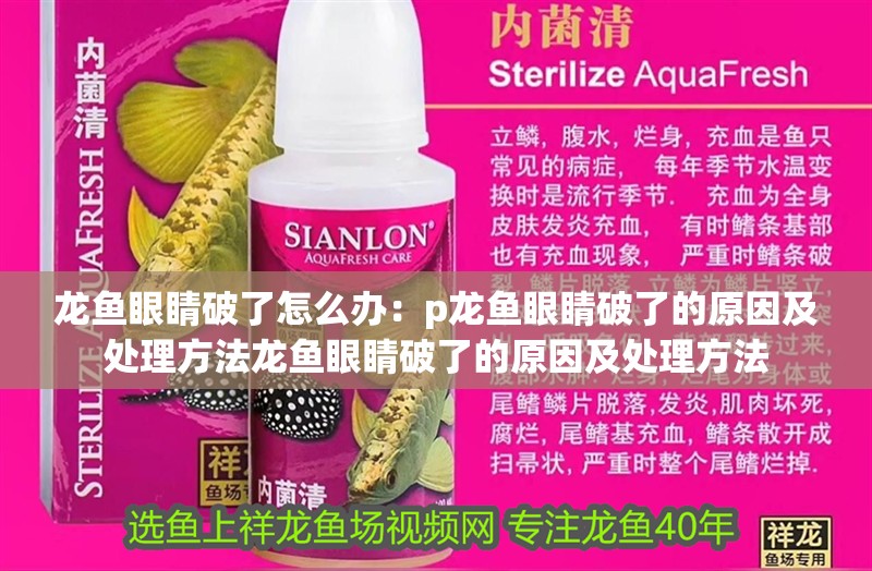 龍魚眼睛破了怎么辦：p龍魚眼睛破了的原因及處理方法龍魚眼睛破了的原因及處理方法 龍魚眼睛破了怎么辦：p龍魚眼睛破了的原因及處理方法龍魚眼睛破了的原因及處理方法 龍魚百科