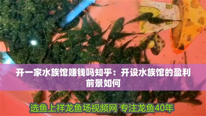 開一家水族館賺錢嗎知乎：開設(shè)水族館的盈利前景如何