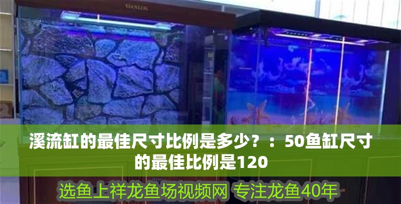 溪流缸的最佳尺寸比例是多少？：50魚缸尺寸的最佳比例是120 溪流缸的最佳尺寸比例是多少？：50魚缸尺寸的最佳比例是120 魚缸百科