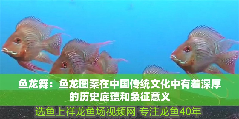 魚龍舞：魚龍圖案在中國傳統文化中有著深厚的歷史底蘊和象征意義