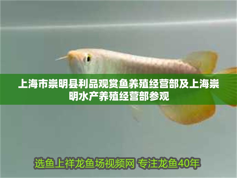 上海市崇明縣利品觀賞魚養殖經營部及上海崇明水產養殖經營部參觀