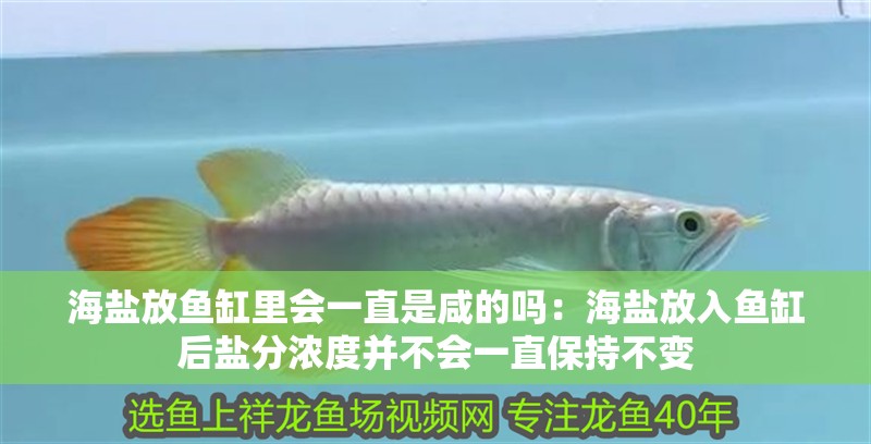 海鹽放魚缸里會一直是咸的嗎：海鹽放入魚缸后鹽分濃度并不會一直保持不變 海鹽放魚缸里會一直是咸的嗎：海鹽放入魚缸后鹽分濃度并不會一直保持不變 魚缸百科