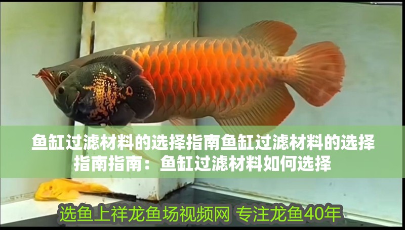 魚缸過濾材料的選擇指南魚缸過濾材料的選擇指南指南：魚缸過濾材料如何選擇