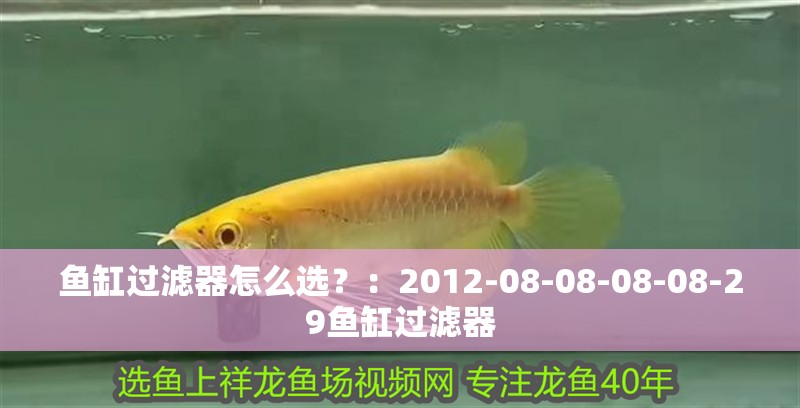 魚缸過濾器怎么選？：2012-08-08-08-08-29魚缸過濾器