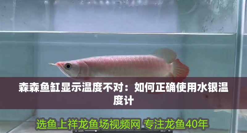 森森魚缸顯示溫度不對：如何正確使用水銀溫度計