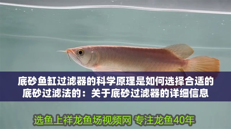 底砂魚缸過濾器的科學原理是如何選擇合適的底砂過濾法的：關于底砂過濾器的詳細信息 底砂魚缸過濾器的科學原理是如何選擇合適的底砂過濾法的：關于底砂過濾器的詳細信息 魚缸百科