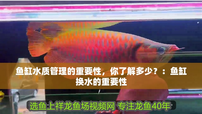 魚缸水質管理的重要性，你了解多少？：魚缸換水的重要性