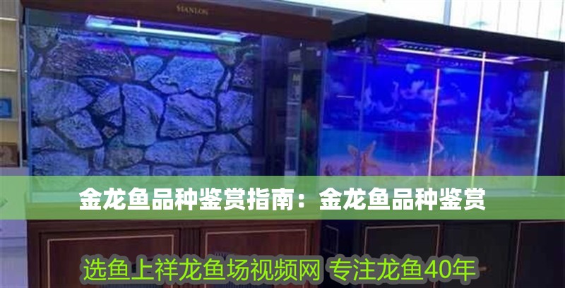 金龍魚品種鑒賞指南：金龍魚品種鑒賞