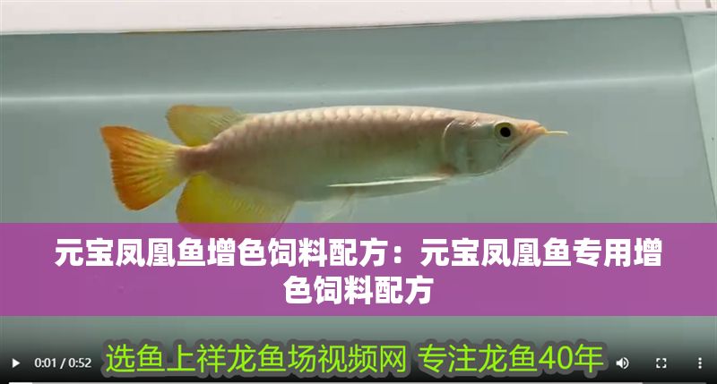 元寶鳳凰魚增色飼料配方：元寶鳳凰魚專用增色飼料配方 元寶鳳凰魚增色飼料配方：元寶鳳凰魚專用增色飼料配方 元寶鳳凰魚百科 第7張