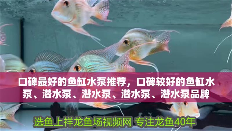口碑最好的魚缸水泵推薦，口碑較好的魚缸水泵、潛水泵、潛水泵、潛水泵、潛水泵品牌