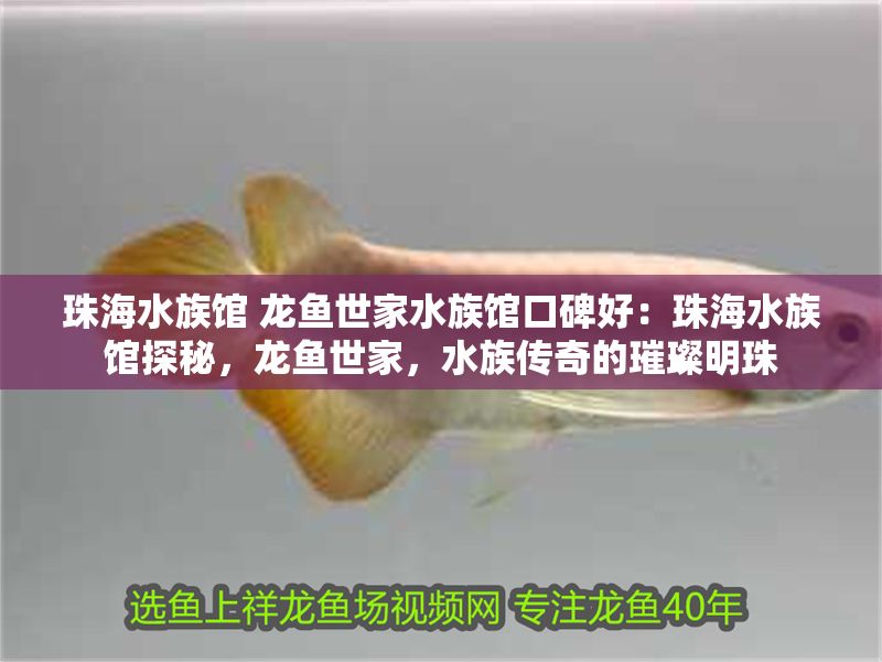 珠海水族館 龍魚世家水族館口碑好：珠海水族館探秘，龍魚世家，水族傳奇的璀璨明珠