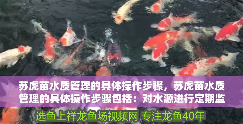 蘇虎苗水質管理的具體操作步驟，蘇虎苗水質管理的具體操作步驟包括：對水源進行定期監測 蘇虎苗水質管理的具體操作步驟，蘇虎苗水質管理的具體操作步驟包括：對水源進行定期監測 虎魚百科 第7張