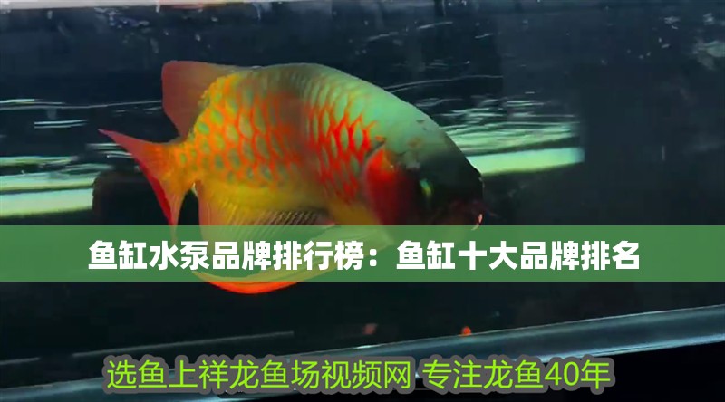 魚缸水泵品牌排行榜：魚缸十大品牌排名
