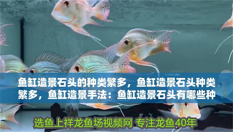 魚缸造景石頭的種類繁多，魚缸造景石頭種類繁多，魚缸造景手法：魚缸造景石頭有哪些種類