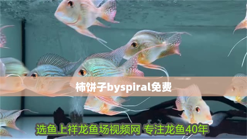 給大魚缸換水的作文:體驗給大魚缸換水的樂趣:體驗給大魚缸換水:給大魚缸換水的作文 柿餅子byspiral免費 龍魚論壇 柿餅子byspiral免費 柿餅子byspiral免費 龍魚論壇