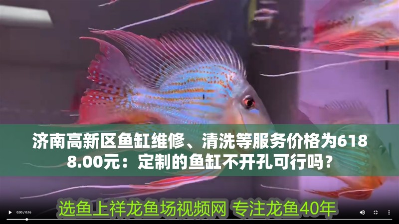 濟南高新區魚缸維修、清洗等服務價格為6188.00元：定制的魚缸不開孔可行嗎？ 濟南高新區魚缸維修、清洗等服務價格為6188.00元：定制的魚缸不開孔可行嗎？ 魚缸百科