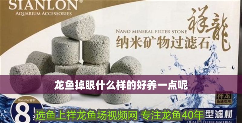 龍魚掉眼什么樣的好養一點呢 龍魚百科 第2張 龍魚掉眼什么樣的好養一點呢 龍魚掉眼什么樣的好養一點呢 龍魚百科 第2張