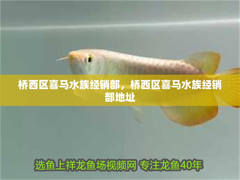 魚缸造景先放沙還是先放水(魚缸造景先鋪沙還是先放石頭) 橋西區喜馬水族經銷部,橋西區喜馬水族經銷部地址 全國水族館企業名錄 橋西區喜馬水族經銷部,橋西區喜馬水族經銷部地址 橋西區喜馬水族經銷部,橋西區喜馬水族經銷部地址 全國水族館企業名錄