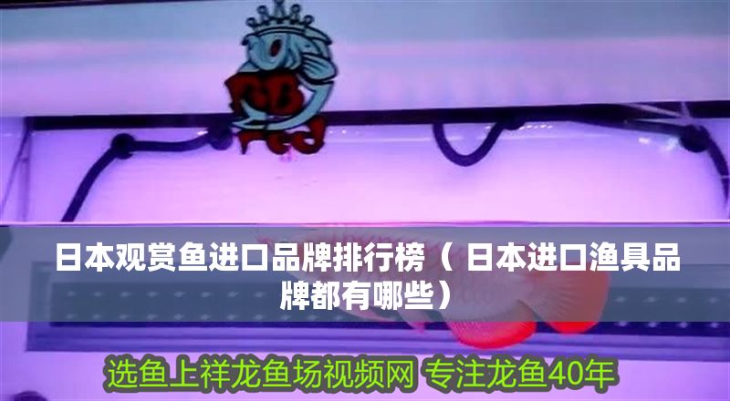 日本觀賞魚進口品牌排行榜（ 日本進口漁具品牌都有哪些） 日本觀賞魚進口品牌排行榜（ 日本進口漁具品牌都有哪些） 錦鯉魚百科 第1張