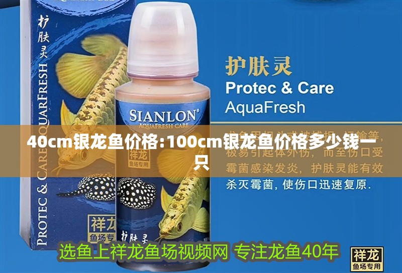 魚缸用增氧泵價格是多少:魚缸增氧機-xtrac增氧機-xtrac增氧機 40cm銀龍魚價格:100cm銀龍魚價格多少錢一只 銀龍魚百科 40cm銀龍魚價格:100cm銀龍魚價格多少錢一只 40cm銀龍魚價格:100cm銀龍魚價格多少錢一只 銀龍魚百科