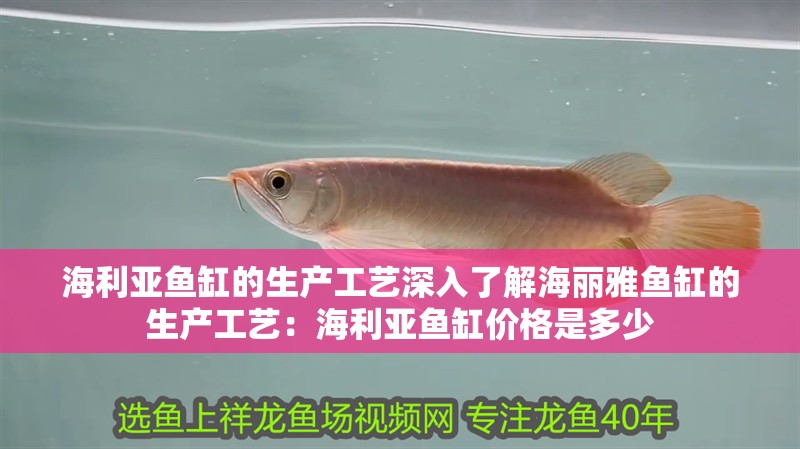 海利亞魚缸的生產(chǎn)工藝深入了解海麗雅魚缸的生產(chǎn)工藝：海利亞魚缸價格是多少