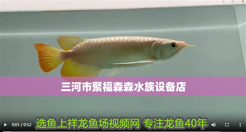我的虎魚真菌感染了要怎么處理 三河市聚福森森水族設(shè)備店 全國(guó)水族館企業(yè)名錄 三河市聚福森森水族設(shè)備店 三河市聚福森森水族設(shè)備店 全國(guó)水族館企業(yè)名錄