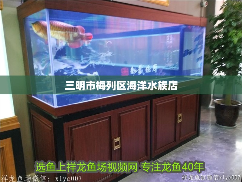 三明市梅列區海洋水族店