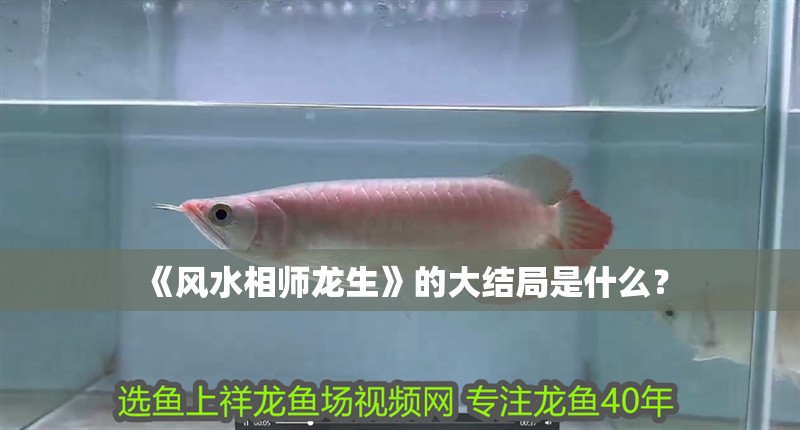 《風水相師龍生》的大結局是什么？