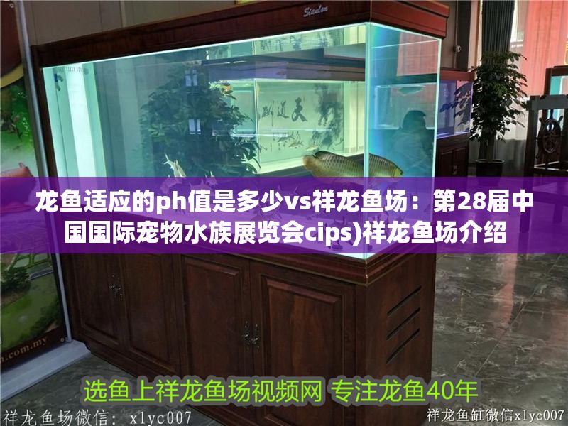 龍魚適應的ph值是多少vs祥龍魚場：第28屆中國國際寵物水族展覽會cips)祥龍魚場介紹